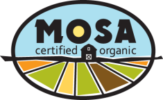 Mosa-logo-color